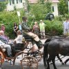 13 Festkutsche Ehrenvorstaende